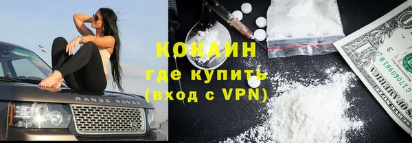 твердый Алексеевка