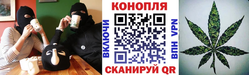 Каннабис сатива  Хадыженск 
